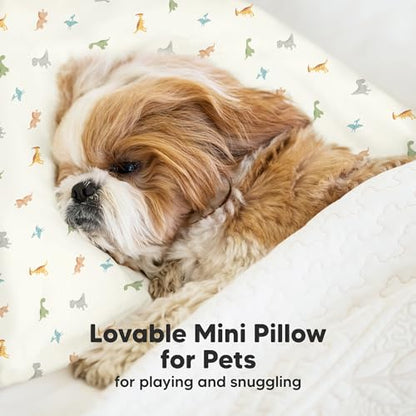 Mini Toddler Pillow with Pillowcase