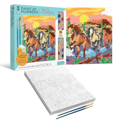 iHeartArt Paint by Numbers Kit