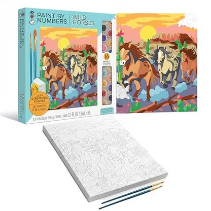 iHeartArt Paint by Numbers Kit