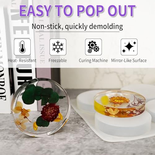 Resin Coaster Molds (6 Count)
