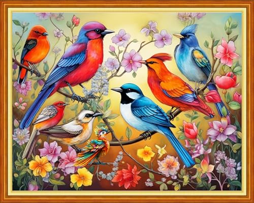 Cross Stitch Kits for Adults Beginners