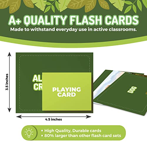 50 Animal Flash Cards