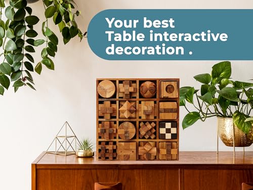 16 in 1 Wooden Brain Teaser Puzzles for Adults and Seniors Interlocking 3D Mini Wood Mind Games Hand Puzzle Teasers Set Toys Coffee Table Games Gift