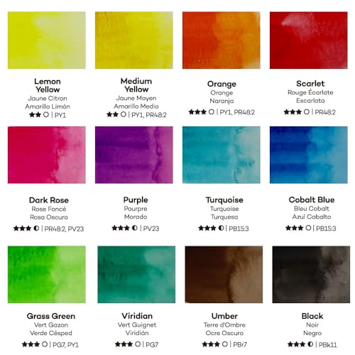 Watercolor Set Full Pan Signature 13pc in Tin (12 Count)
