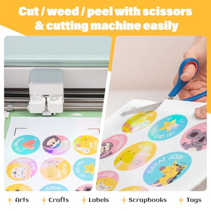 Holographic Sticker Paper Laminating Sheets