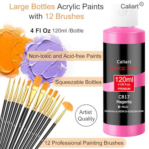 24 Colors Acrylic Paint Set Large Bottles 4oz with 12 Brushes (96 Fl Oz)