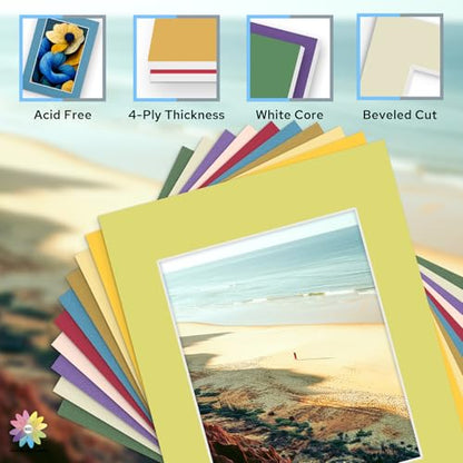 Mat Board Center 10 Pack 11x14 Mat+Backings+Bags for 8x10 Photo Mix Color