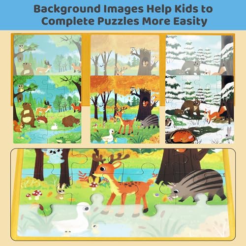 Magnetic Puzzles for Toddlers 3 (60 Count)