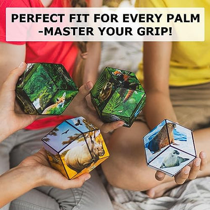 DODECA Magnetic Puzzle Cube