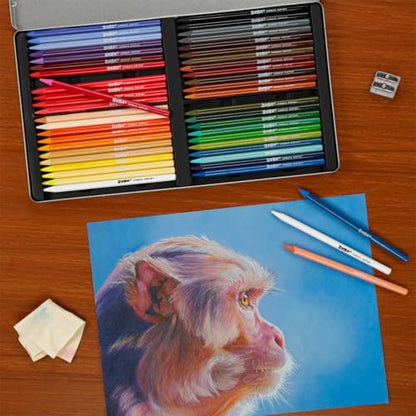 Woodless Pastel Pencils