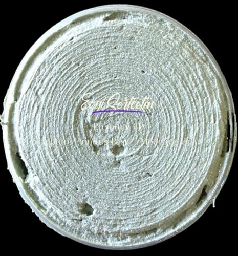 3D Sculpture Painting Paste (6 Fl Oz)