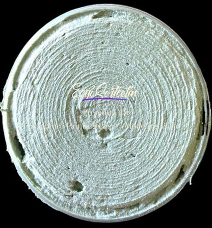 3D Sculpture Painting Paste (6 Fl Oz)