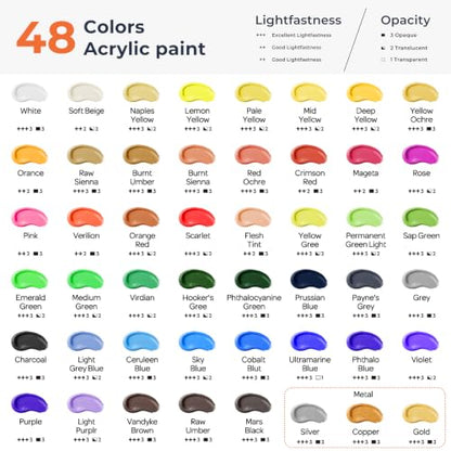 92PCS Acrylic Paint Canvas Set for Adults with 48 Paint for Artist (92 Count)