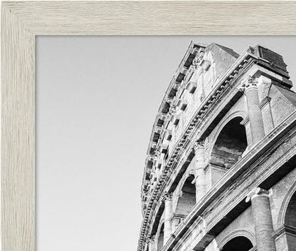 20x24 Poster Frame