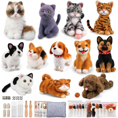 12 Pcs Needle Felting Kit