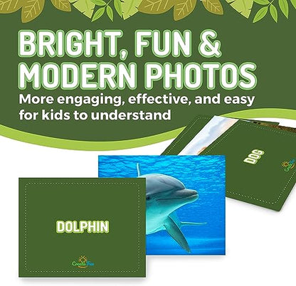 100 Animal Insect & Ocean Creatures Real Picture Flash Cards