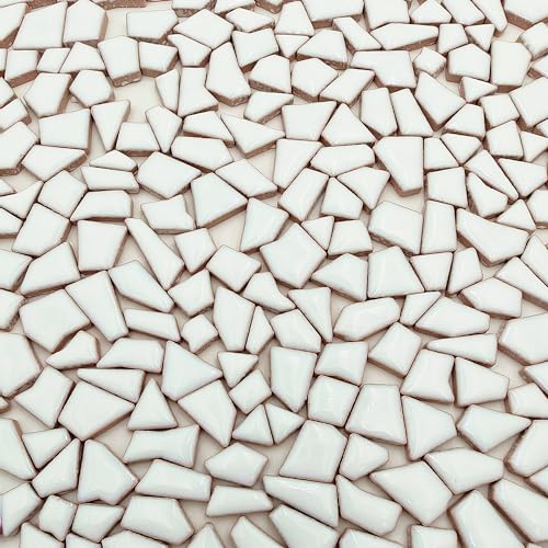 1.1LB Irregular Ceramics Mosaic Tiles (350 Count)