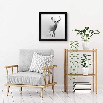 16x16 Poster Frame