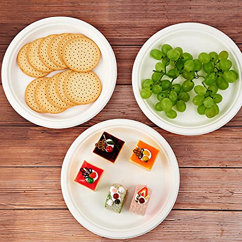 500 Pack Compostable Bagasse Paper Plates 10.25 inch (500 Count)