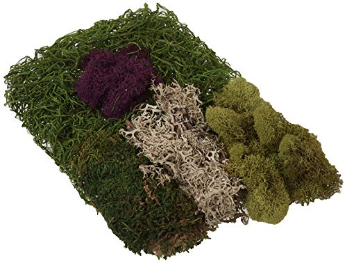 23310) Moss Mix - Best Sellers, 80.75 Cubic Inch Bag (Appx. 2 Ounce)
