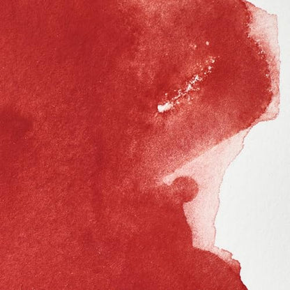 Professional Watercolor