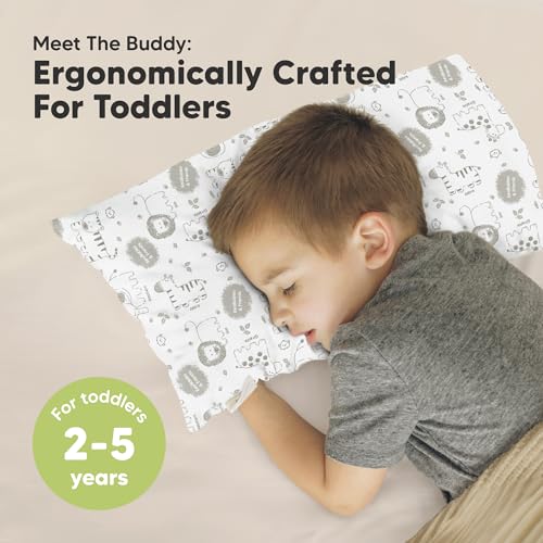Toddler Pillow with Pillowcase
