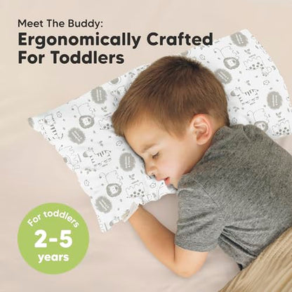 Toddler Pillow with Pillowcase