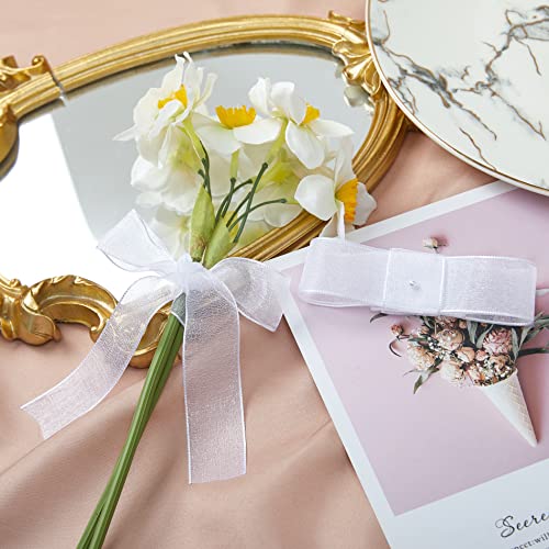 1 Inch Wide Sheer Chiffon Ribbon (75 Foot)