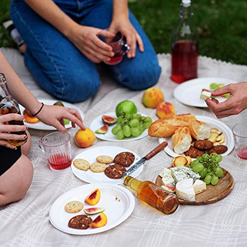 500 Pack Compostable Bagasse Paper Plates 10.25 inch (500 Count)