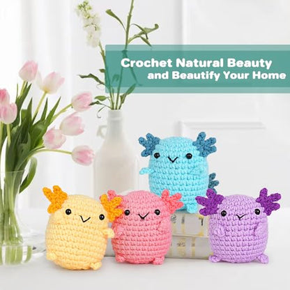 Crochet Kit for Beginners