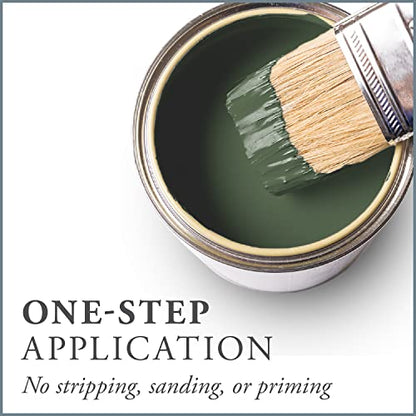 Chalk Based One Step Paint for Furniture (16 Fl Oz)