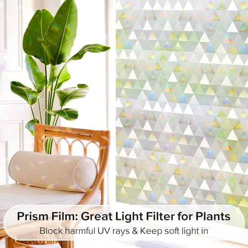Window Privacy Film (9.5642 Sq Ft)