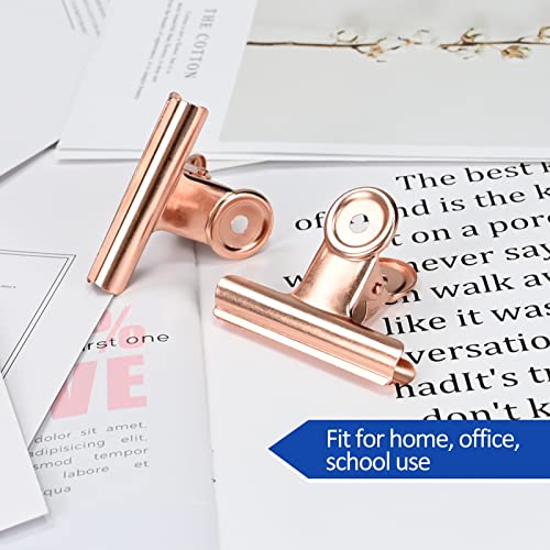 10 Pack Large Metal Hinge Clips 2.5 Inches Bull Hinge Paper Clips (10 Count)