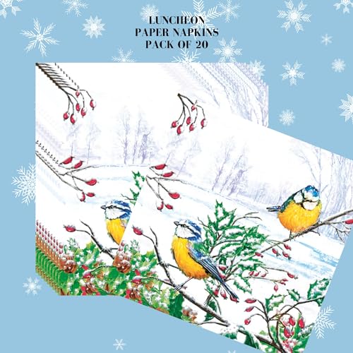 20 ct 13x13 Christmas Paper Decoupage Napkins (20 Count)