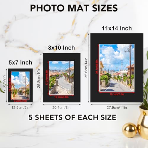 15 Pack Black Picture Mats