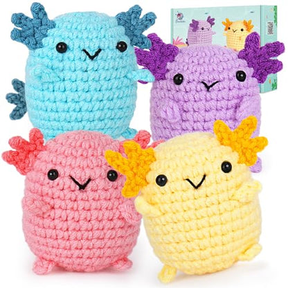 Crochet Kit for Beginners