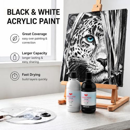 Black and White Acrylic Paint Set (33.8 Fl Oz)