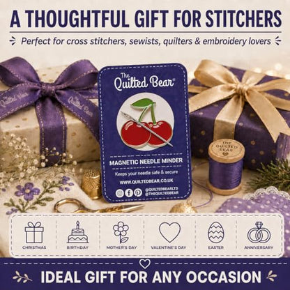 Magnetic Needle Minder