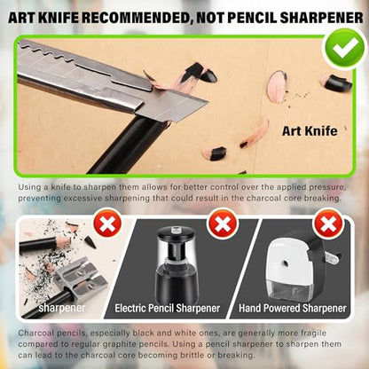 Professional Charcoal Pencils Drawing Set (12 Count)