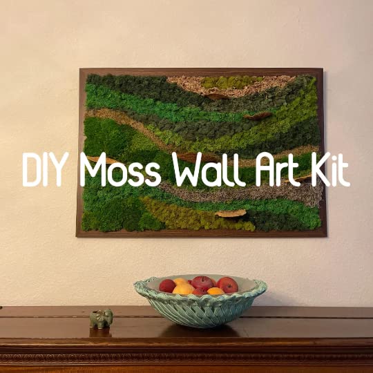Preserved Reindeer Craft Moss Natural Green DIY Kit Gardenning Art Wall Florist Easter Table Wedding