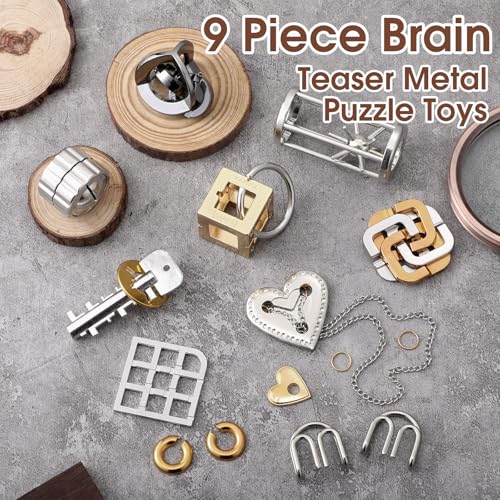 9 Pcs Metal Brain Teasers 3D Steel Puzzle Set (9 Count)