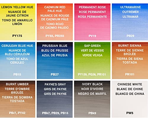 Cotman Watercolor Paint Set