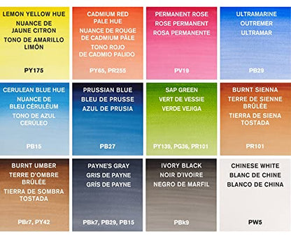 Cotman Watercolor Paint Set