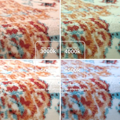 Washable Round Rugs 5'3"ft