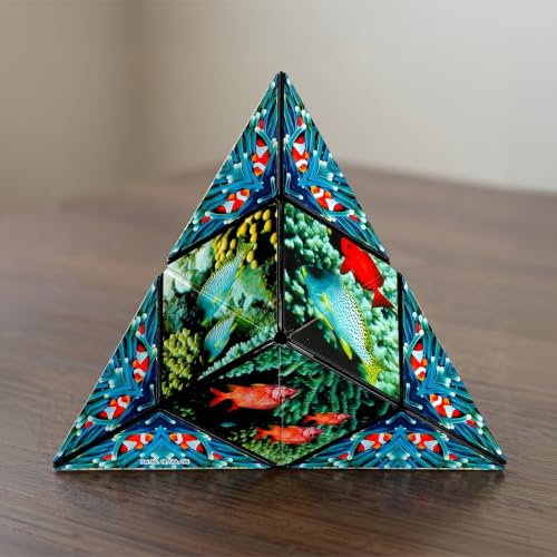DODECA Magnetic Puzzle Cube