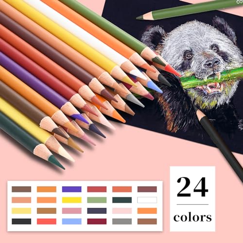 Colored Charcoal Pencil Set (24 Count)