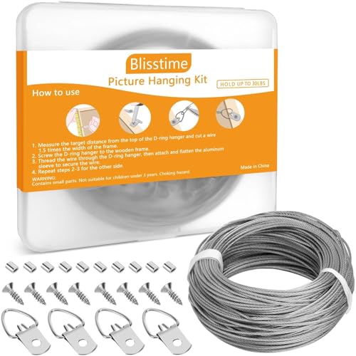181 Pcs Picture Hanging Kit for Canvas Paintings (60 Count)