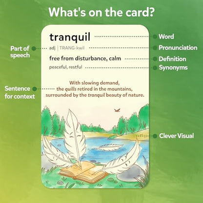 Educational Vocabulary Flash Cards for Kids