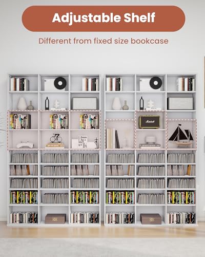 DVD Storage Shelf with Adjustable Shelves (24 Count)