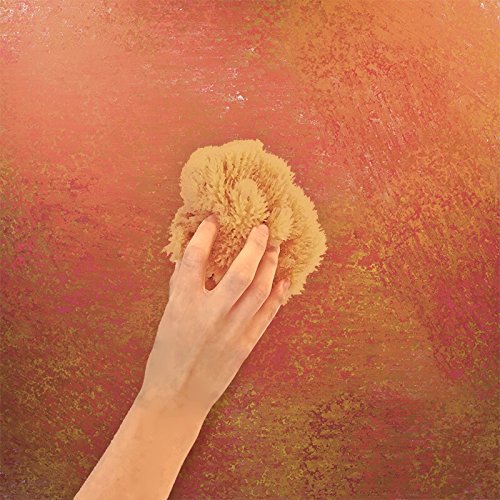 Unbleached Natural Sea Sponges for Artists 2pk (2 Count)
